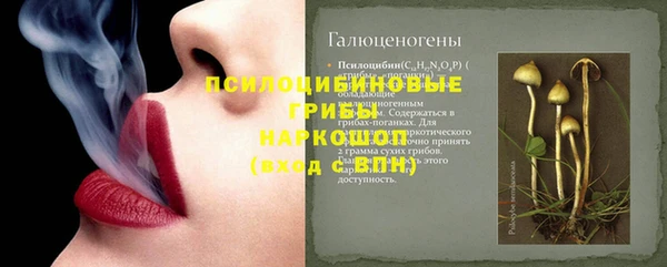 прущие крисы Балахна