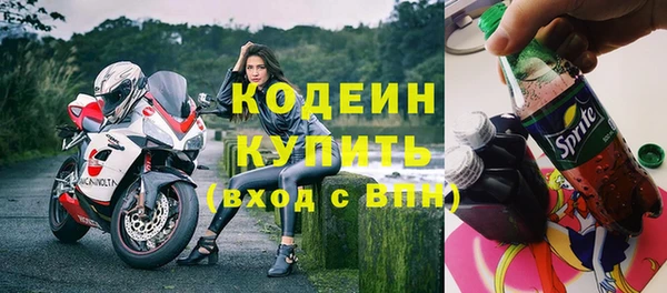 твердый Гусев