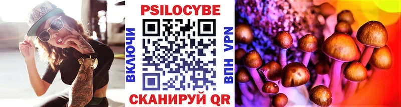 kraken вход  даркнет как зайти  Галлюциногенные грибы Psilocybe  купить   Шиханы 